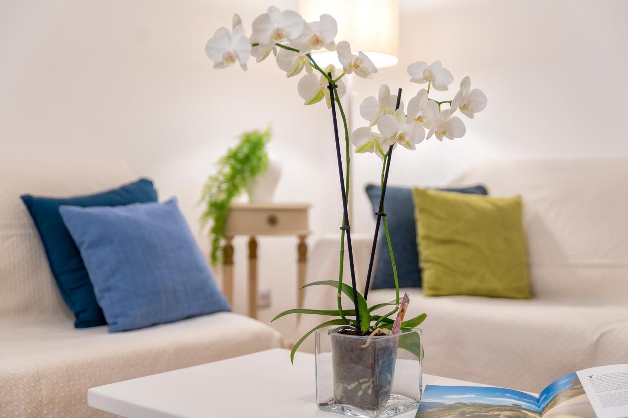 Casa Comoda A Due Passi Dal Lungomare อาลเกโร ภายนอก รูปภาพ